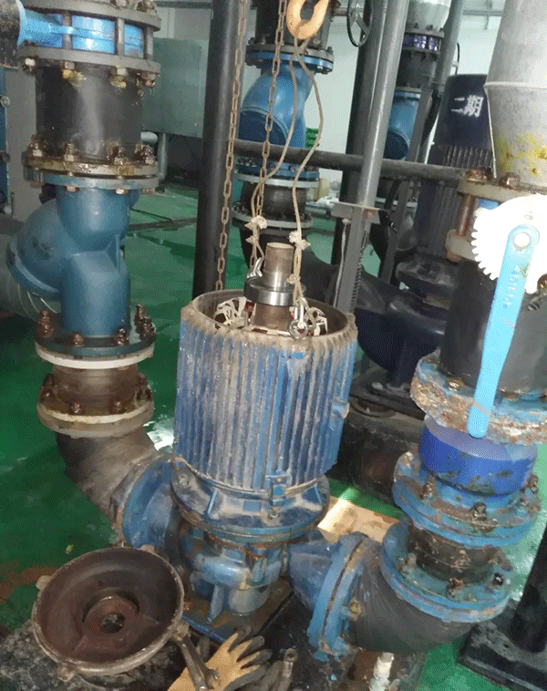 電機如何適應(yīng)變頻起動新技術(shù)——西安泰富西瑪電機(西安西瑪電機集團股份有限公司)官方網(wǎng)站 電機如何適應(yīng)變頻起動新技術(shù)——西安泰富西瑪電機(西安西瑪電機集團股份有限公司)官方網(wǎng)站