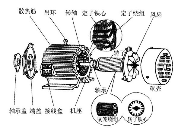 三相異步電動機的六種分類方法及具體分類。